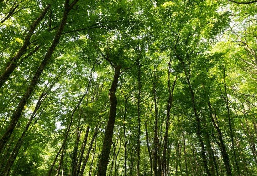 酒店 The Originals City, Hôtel Le Garden, Tours Sud