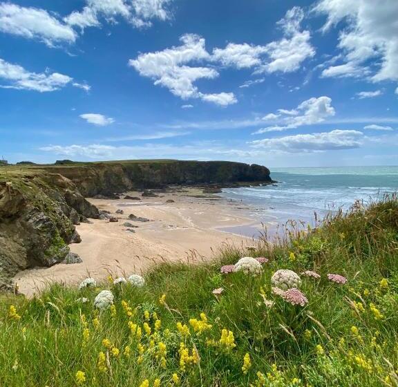 Отель Whitford House