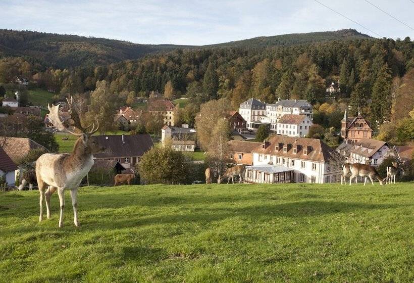 Le Grand Hotel Du Hohwald