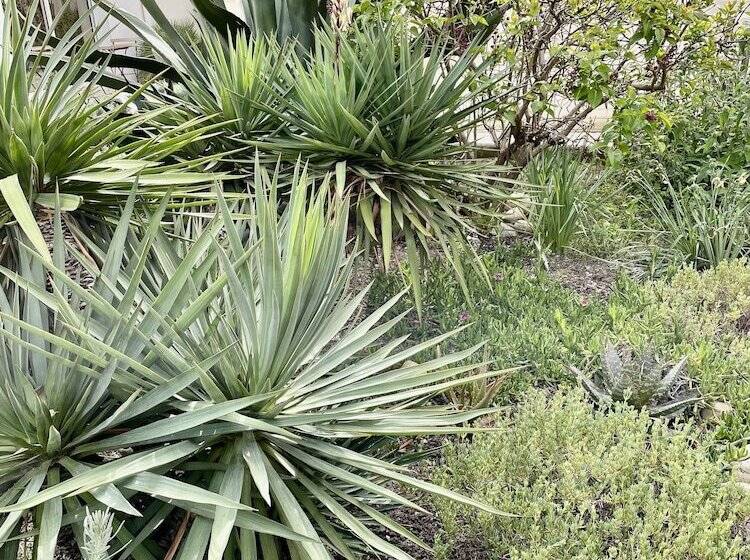 فندق على الطريق Amerique Hotel Palavas   Piscine   Plage