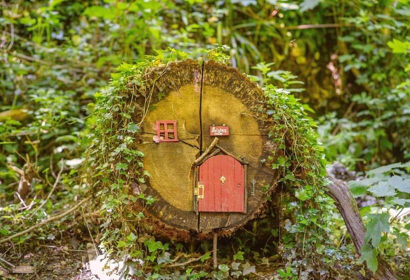 Waterford Castle Hotel & Golf Resort