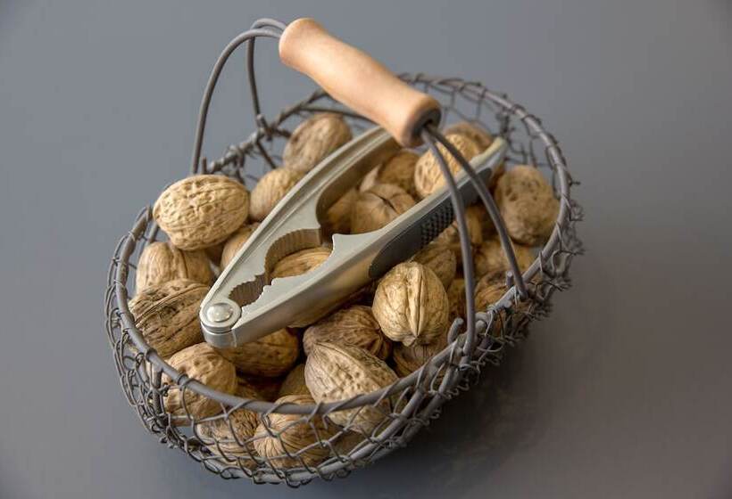 Bristol Logis Cit Hotel Périgueux Centre