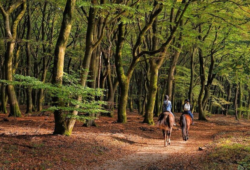 호텔 Aigle Noir Fontainebleau Mgallery