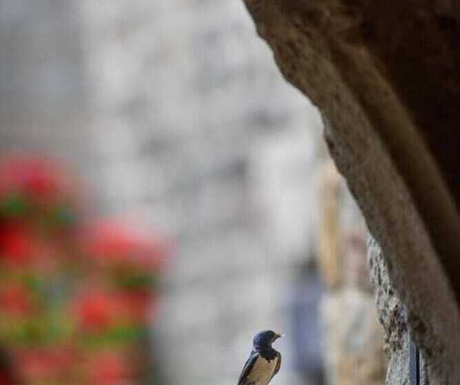 酒店 Auberge Regordane