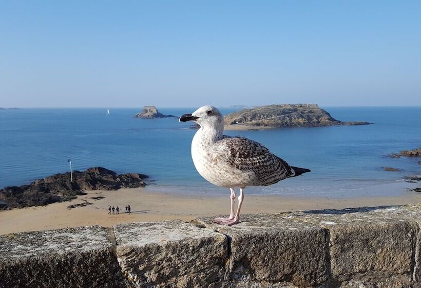 호텔 Balmoral Dinard