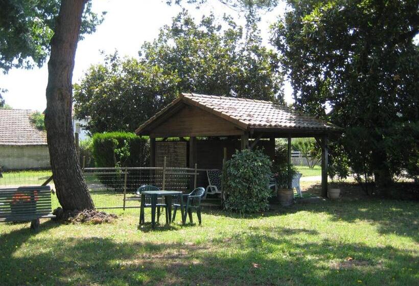 فندق Bellevue De Tradition Familiale