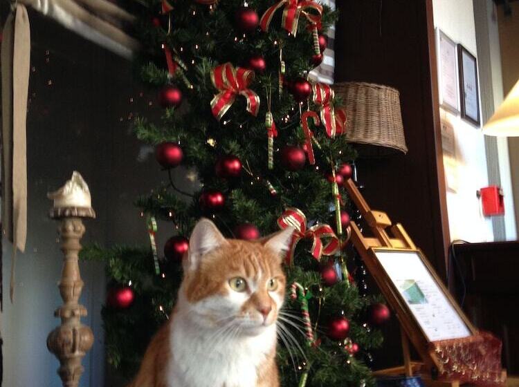 فندق Best Western Hôtel De La Bourse