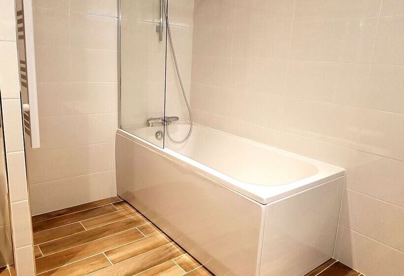 Brit Hotel De Grignan Vichy