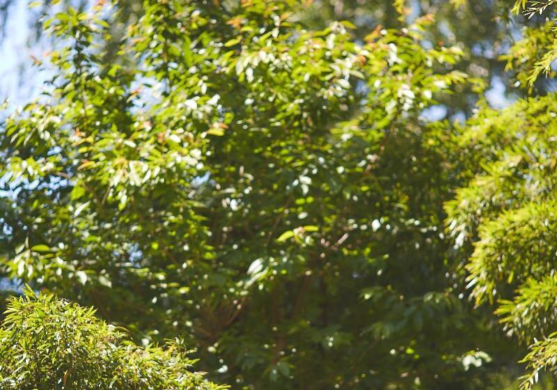 ホテル Cazaudehore, Hôtel De Charme Au Vert