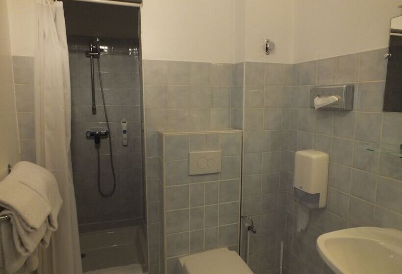 Отель Cecil Metz Gare