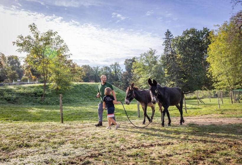 فندق Logis Hôtel Restaurant Château Bellevue
