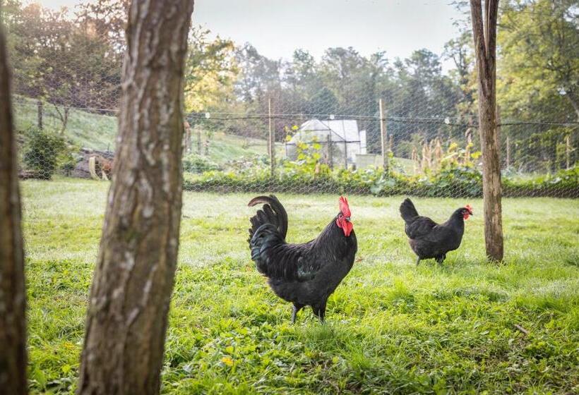 فندق Logis Hôtel Restaurant Château Bellevue