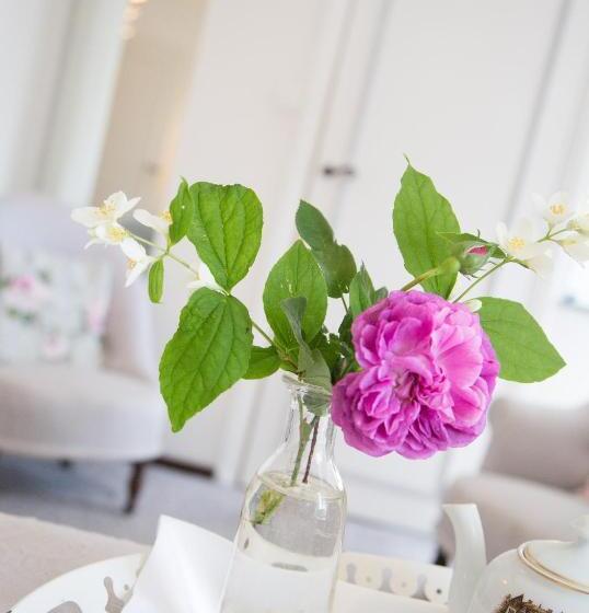 فندق Logis Hôtel Restaurant Château Bellevue