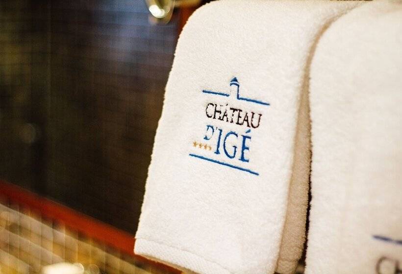 酒店 Chateau D Ige
