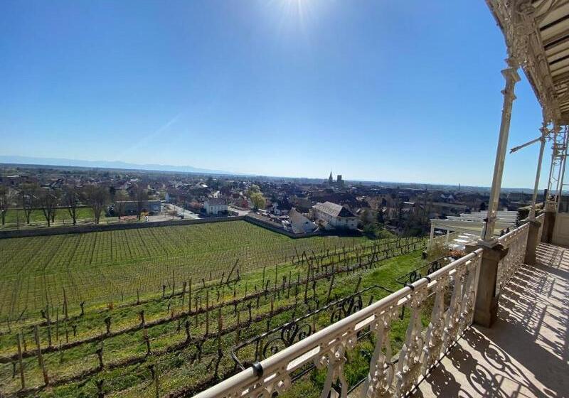 酒店 Chateau D Isenbourg & Spa