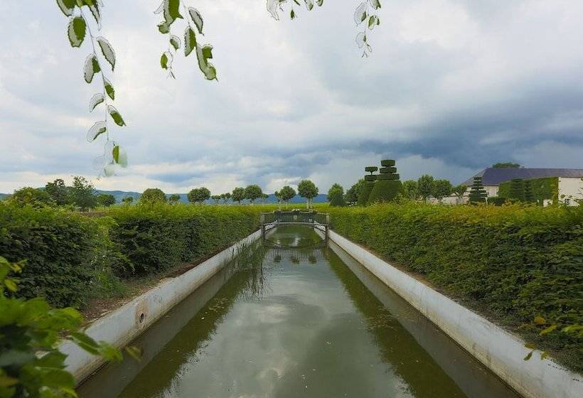 בית מלון כפרי Chateau De Pizay