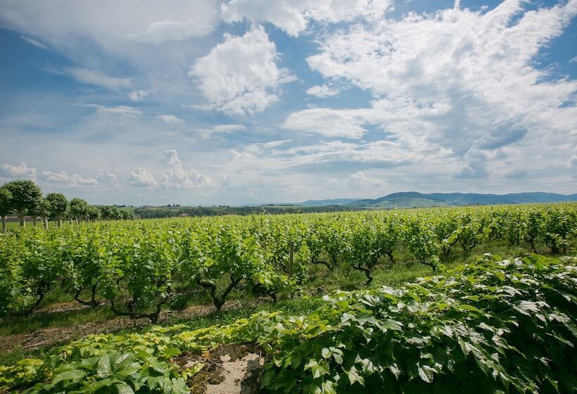 בית מלון כפרי Chateau De Pizay