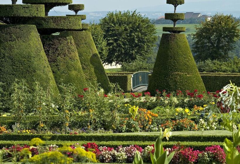 בית מלון כפרי Chateau De Pizay