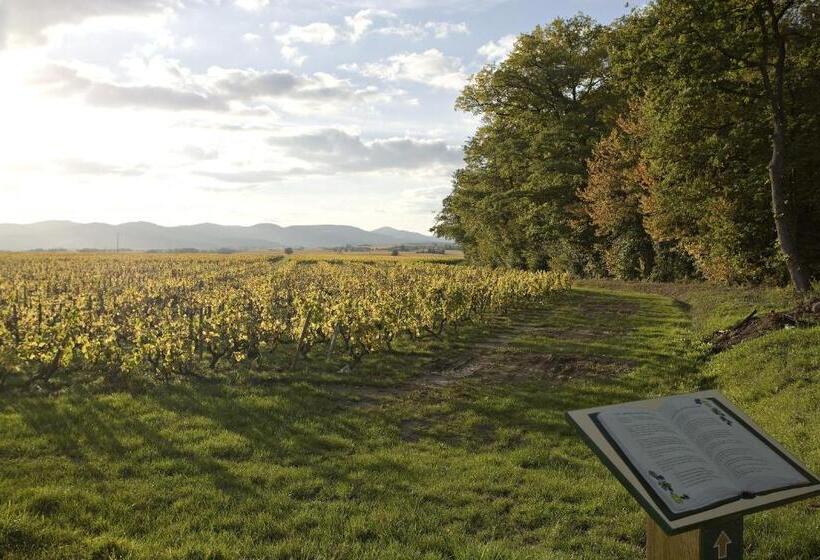 בית מלון כפרי Chateau De Pizay