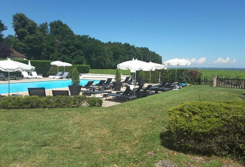 בית מלון כפרי Chateau De Pizay