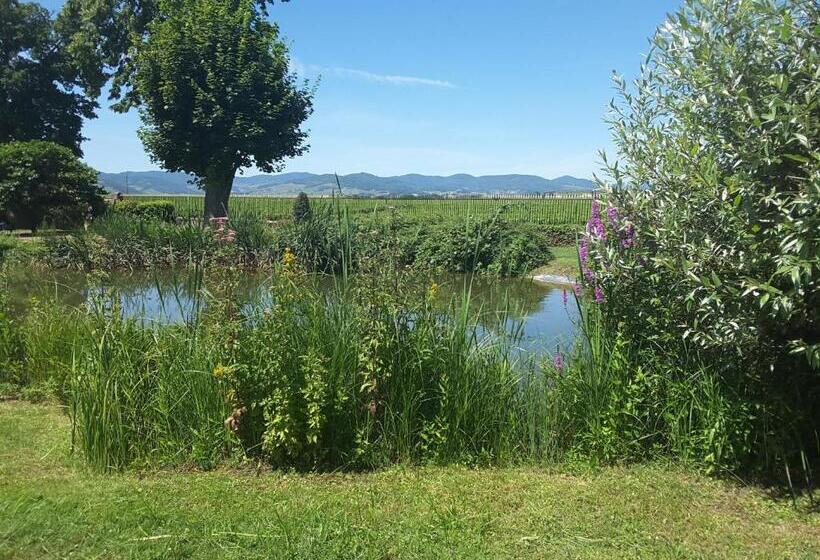 בית מלון כפרי Chateau De Pizay