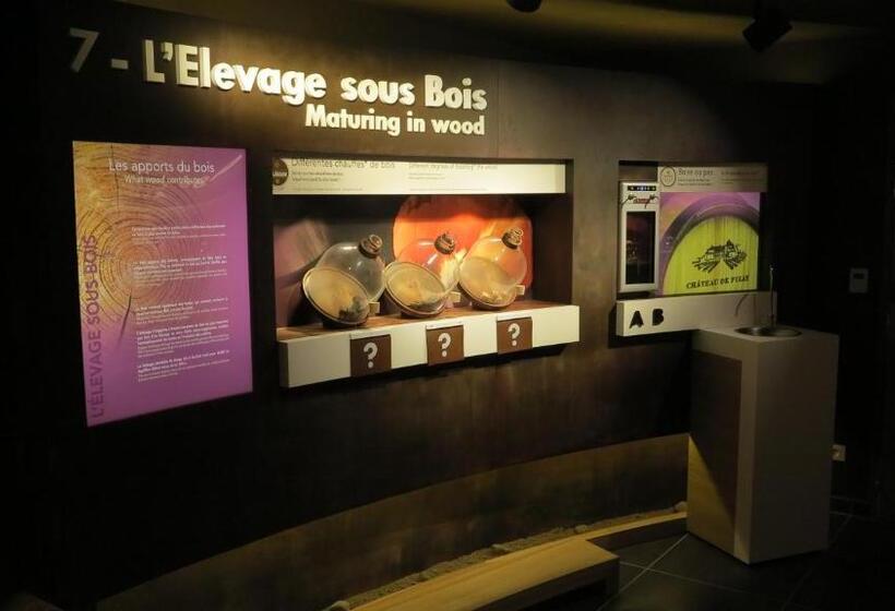 בית מלון כפרי Chateau De Pizay