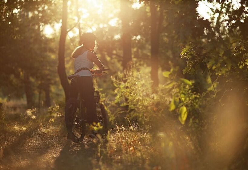호텔 Château De Fontanges
