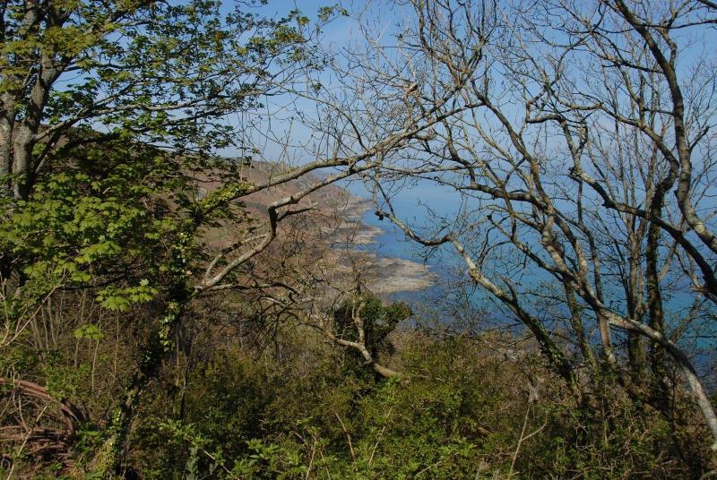 Cit Hotel Hôtel Beauséjour