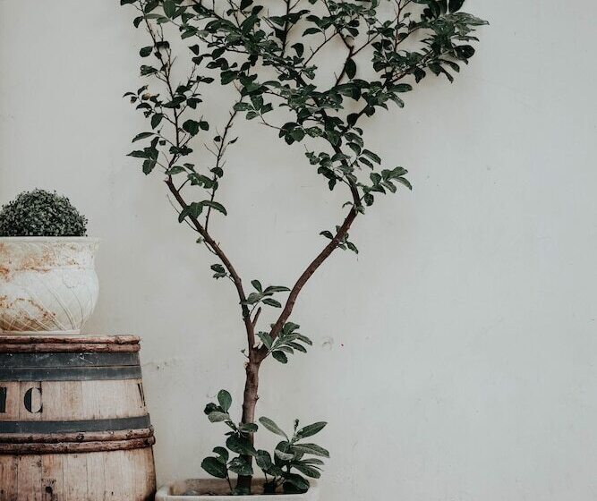 هتل Crystal Reims Centre