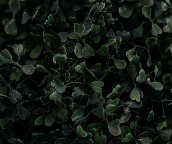 هتل Crystal Reims Centre