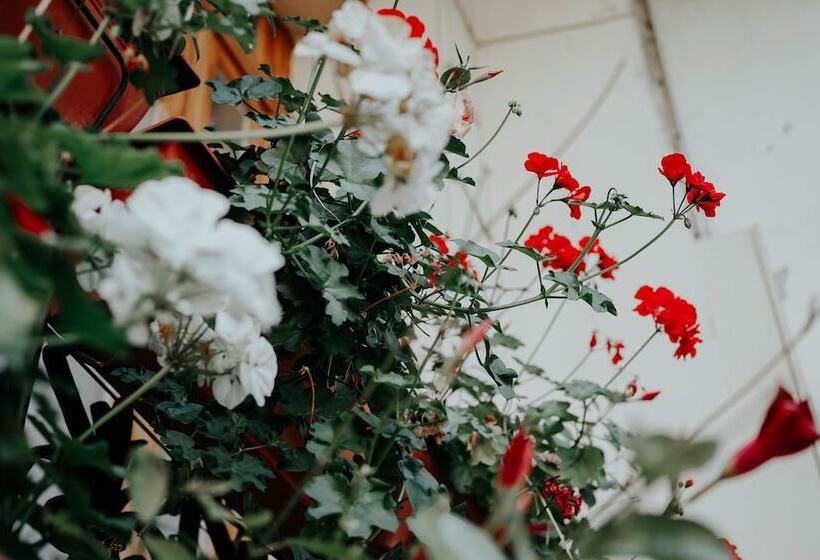 هتل Crystal Reims Centre