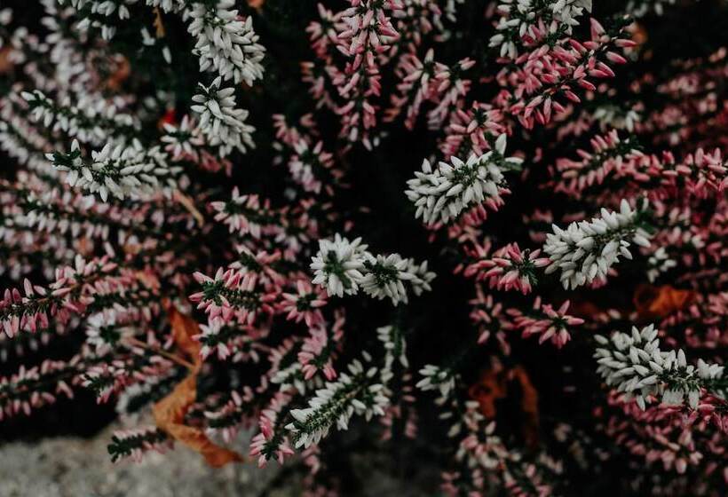 هتل Crystal Reims Centre