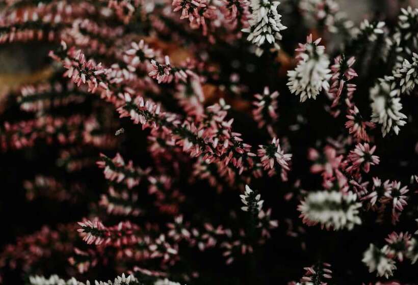 هتل Crystal Reims Centre