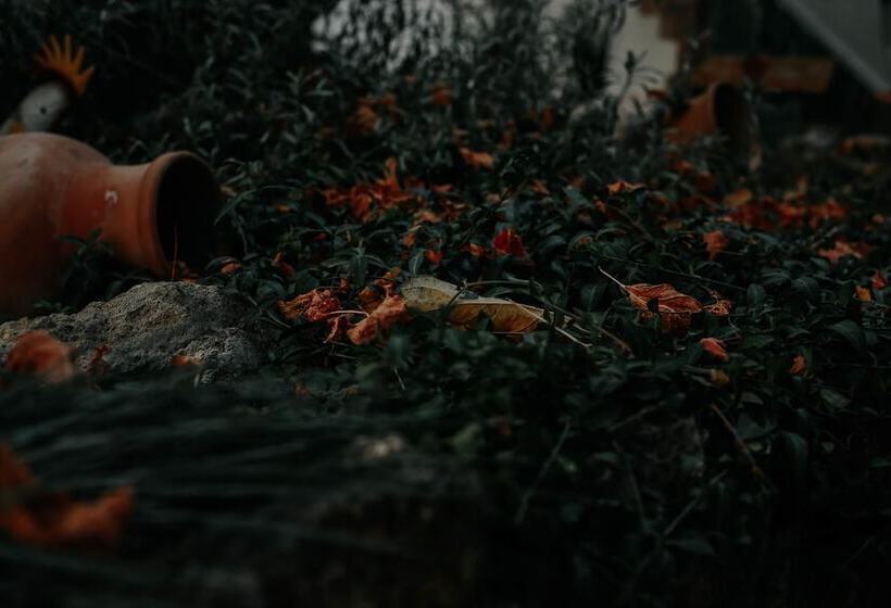 هتل Crystal Reims Centre