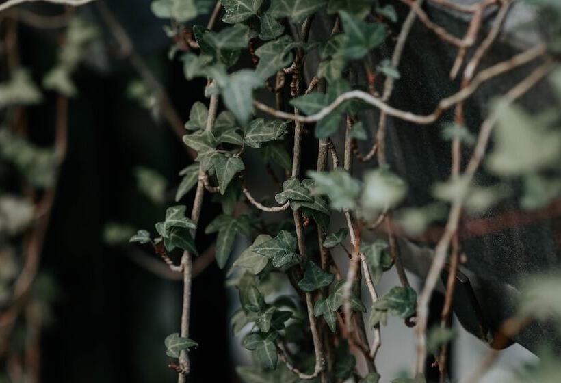 هتل Crystal Reims Centre