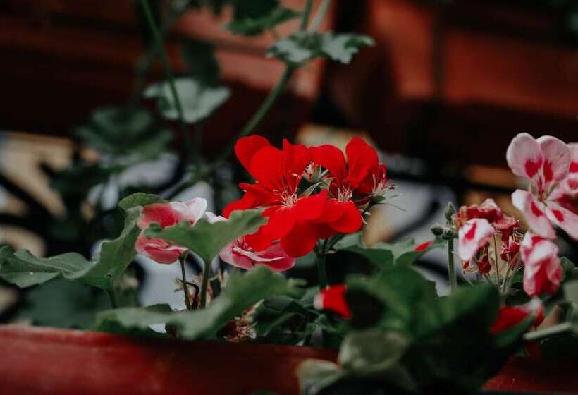 هتل Crystal Reims Centre