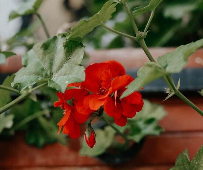 هتل Crystal Reims Centre