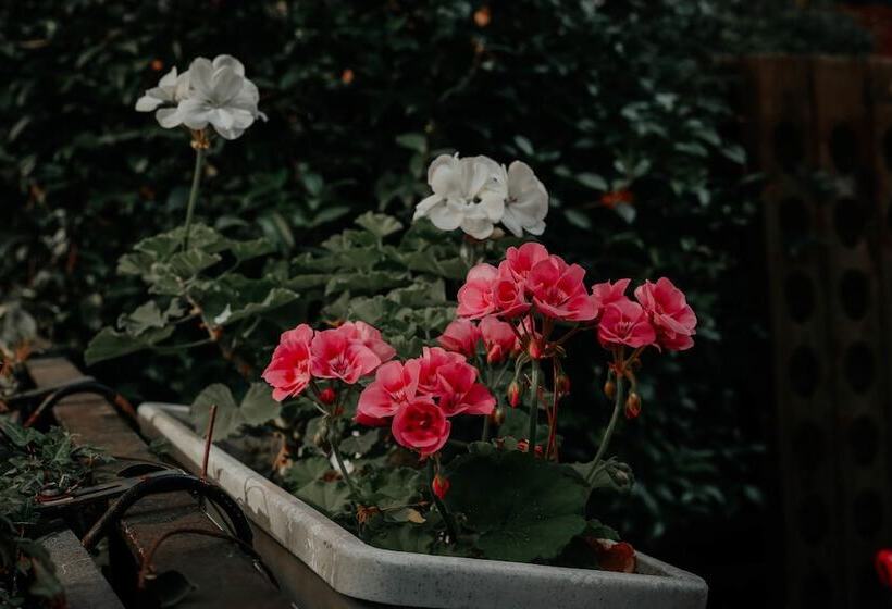 هتل Crystal Reims Centre