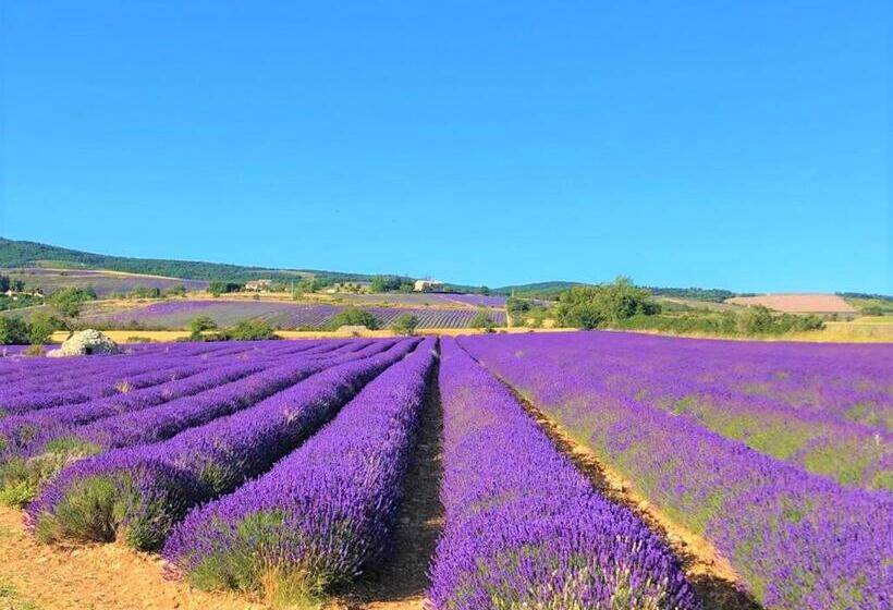 فندق Domaine Du Val De Sault