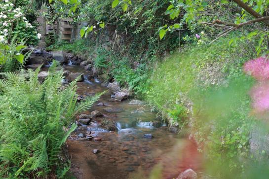 ホテル Du Chateau d'Andlau