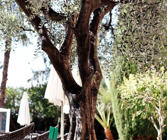 Golden Tulip Cannes Hotel De Paris