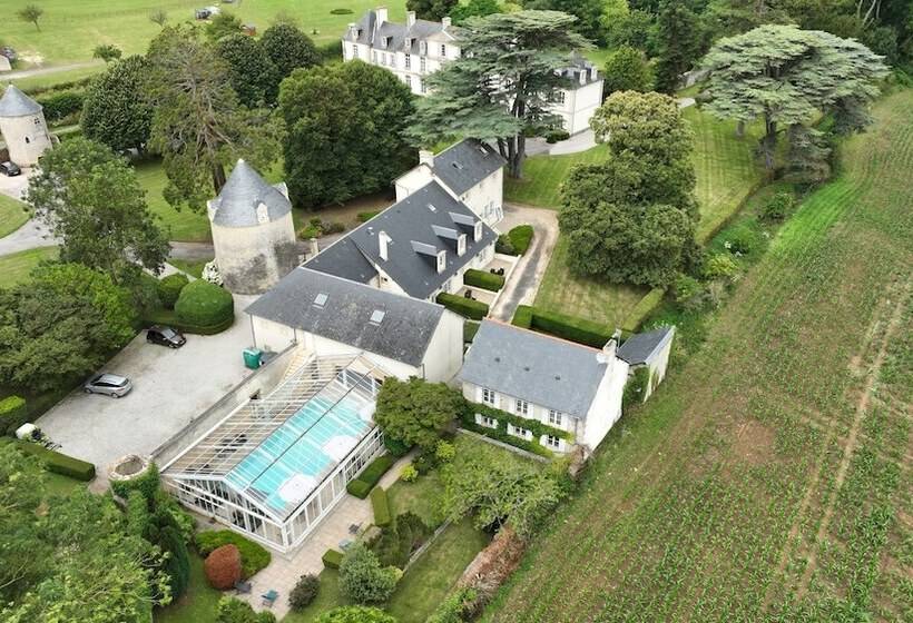 Отель Grand Hôtel Château De Sully Piscine & Spa