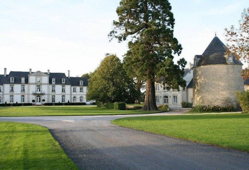 Отель Grand Hôtel Château De Sully Piscine & Spa