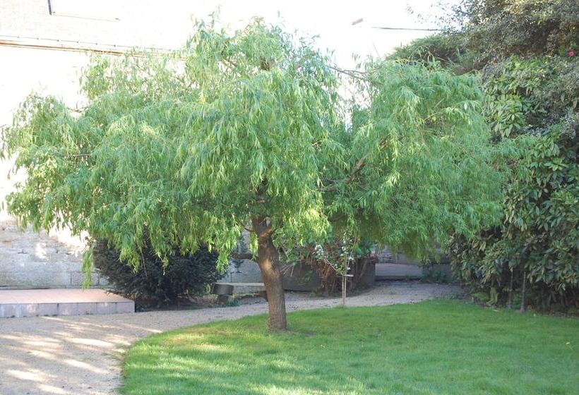 Logis Hotel L Europe