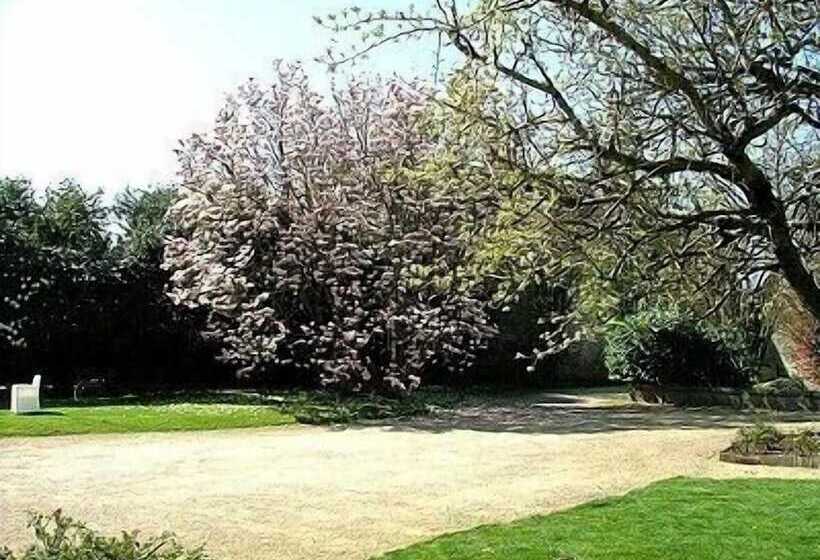 Logis Hotel L Europe