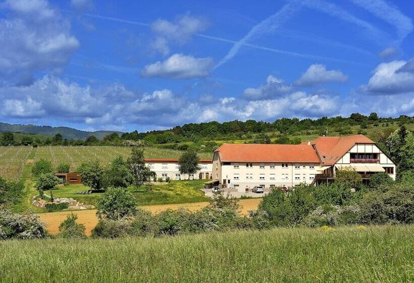 酒店 Hôtel Du Bollenberg   Restaurant Côté Plaine   Spa De La Colline