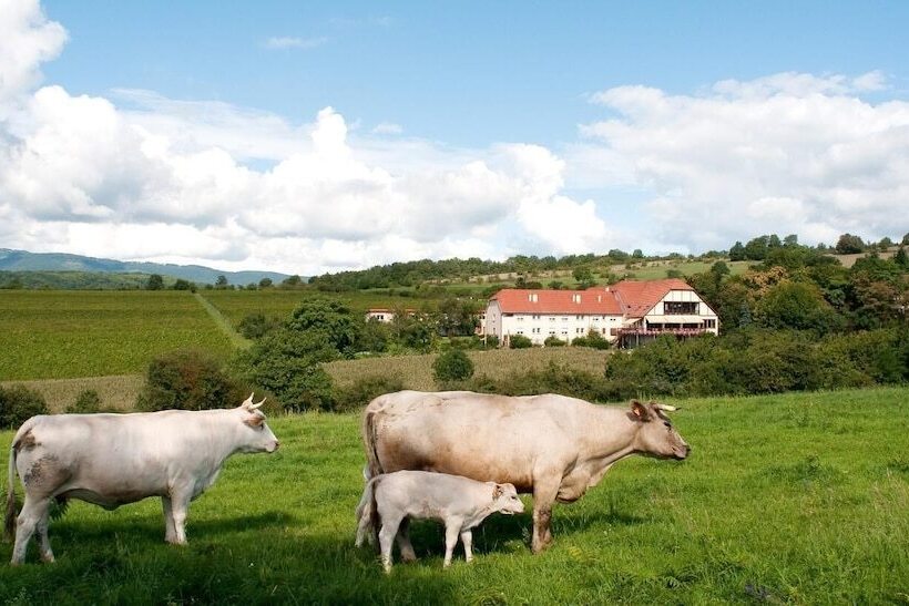 호텔 Hôtel Du Bollenberg   Restaurant Côté Plaine   Spa De La Colline