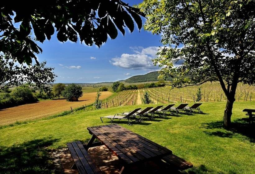 호텔 Hôtel Du Bollenberg   Restaurant Côté Plaine   Spa De La Colline