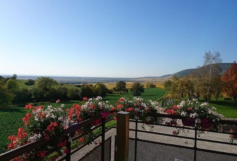 호텔 Hôtel Du Bollenberg   Restaurant Côté Plaine   Spa De La Colline