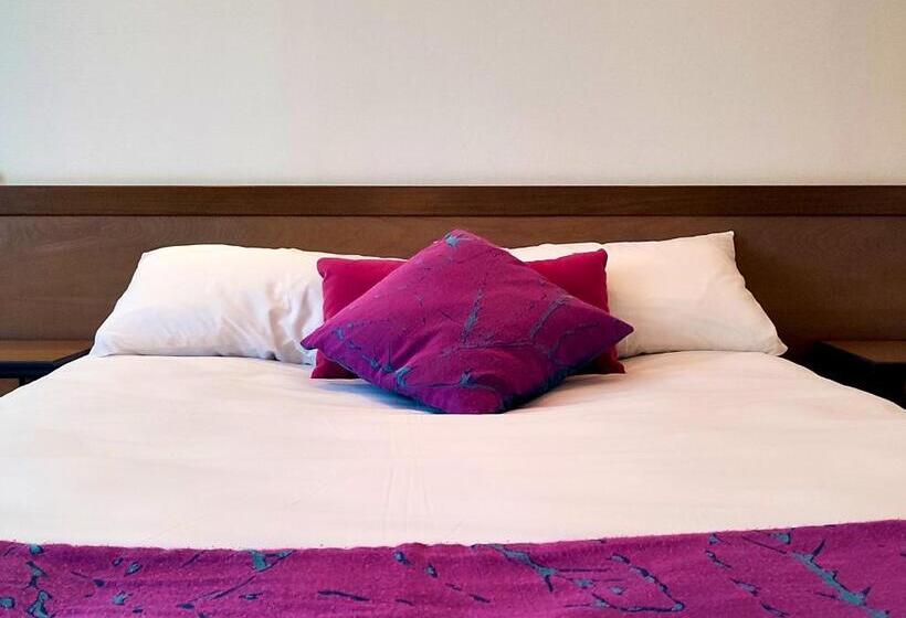 Отель Hôtel Restaurant De France